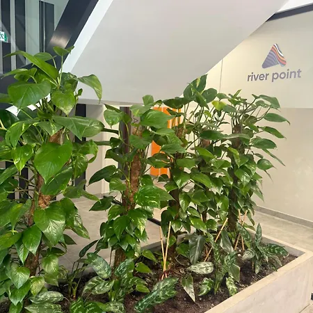 Luna Deluxe Old Town Mieszczanska 24 Free Parking 아파트 브로츠와프