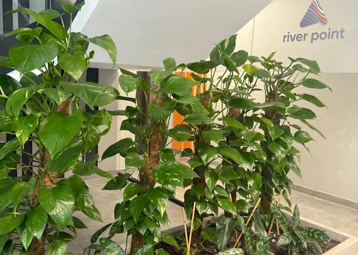 Luna Deluxe Old Town Mieszczanska 24 Free Parking Lejlighed Wrocław